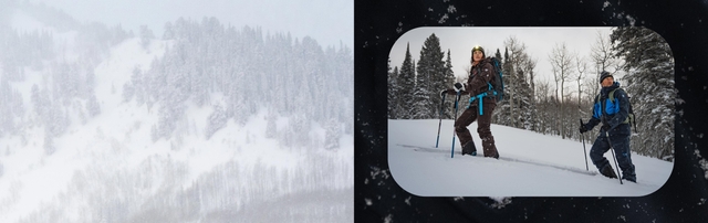 explore the collection