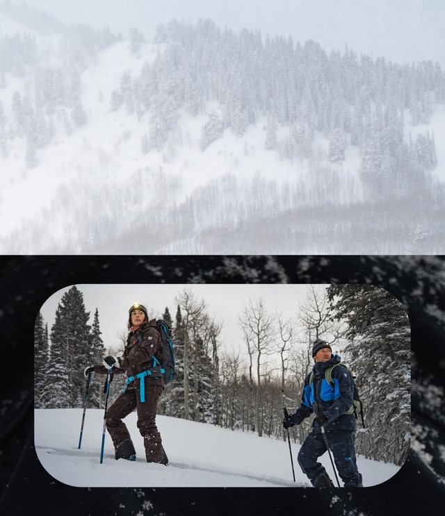 explore the collection